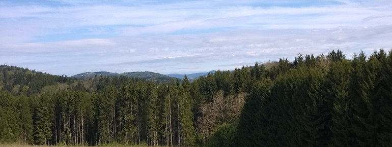 Enjoy the view of the mountains at the Bavarian Forest.
