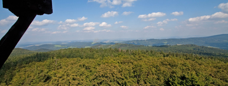 View from Bohemian Forest viewing tower.