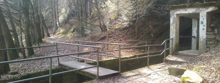 The drift barrier is the hub of Ilz loop.