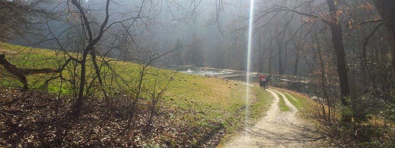 Until you reach the clearing with its ponds.