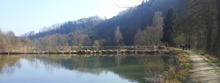 The ponds are perfectly integrated into the quaint Ilz landscape.