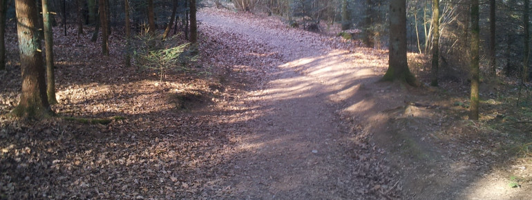 The idyllic path can be walked with regular trainers.