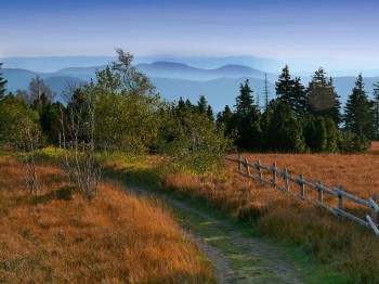 The Schliffkopf is part of the Westweg towards Basel.