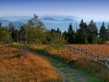 The Schliffkopf is located on the Westweg route towards Basel.