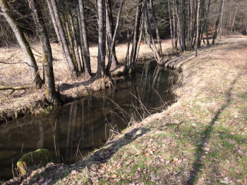 Lake Eginger See has its source in river Rohrbach.