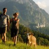 Hike in the footsteps of King Ludwig II in the shadow of fairy-tale Neuschwanstein, and say hello to the odd Allgäu cow along the way.