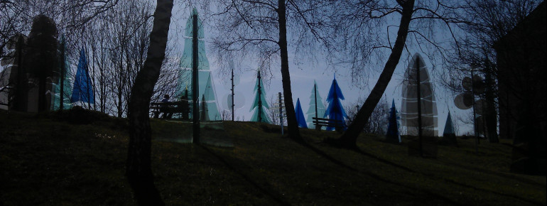 Glass forest in front of the castle.