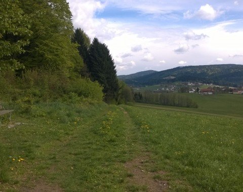 At the south side of Sicklinger Berg