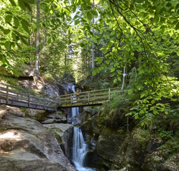 The Rißloch Waterfalls plunge down in five cascades over a total height of 55 meters—framed by ancient mixed mountain forest in the nature reserve.