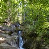 The Rißloch Waterfalls plunge down in five cascades over a total height of 55 meters—framed by ancient mixed mountain forest in the nature reserve.