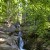 The Rißloch Waterfalls plunge down in five cascades over a total height of 55 meters—framed by ancient mixed mountain forest in the nature reserve.