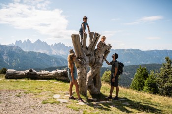The Rossalm at the end of the WoodyWalk is one of South Tyrol's finest alpine huts — with playground, raft pond and refined alpine dishes on the sun terrace.