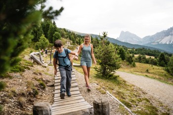 The WoodyWalk on the Plose leads from the top station at 2,050 metres across alpine meadows and adventure stations to the Rossalm — with views of the UNESCO World Heritage Dolomites.