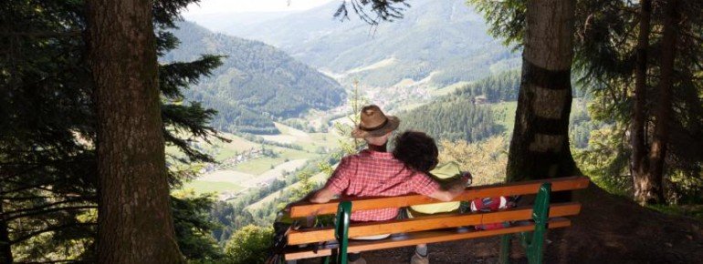 Enjoy the view before heading back down.