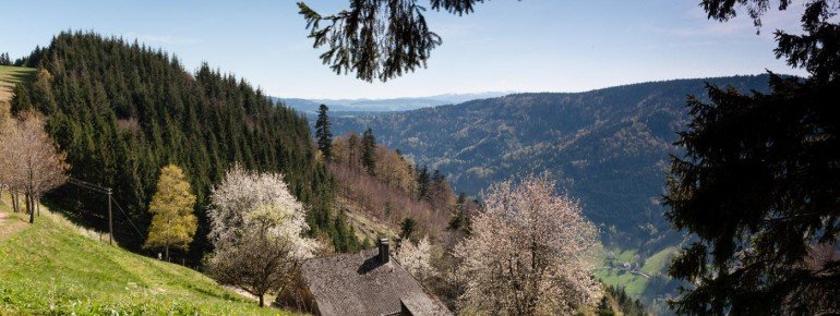 Hintereck-Hütte with a view of the valley.