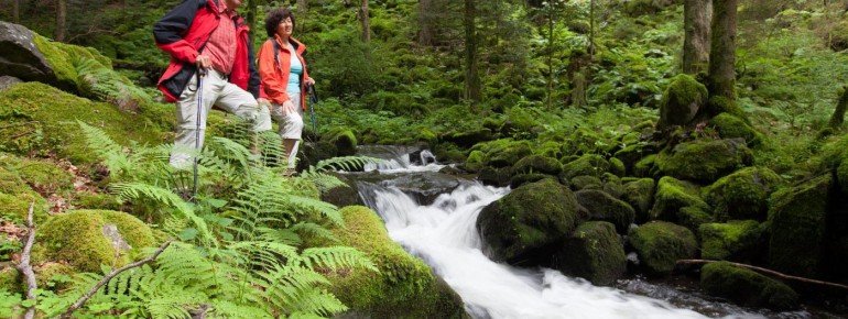 Relatively wide at the beginning, the gorge becomes more and more narrow as you proceed.