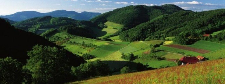 After Landwassereck, the landscape becomes softer, with forest and meadows taking turns.