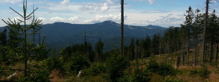 The descent features nice views of Arber, the highest mountain in the Bavarian Forest.
