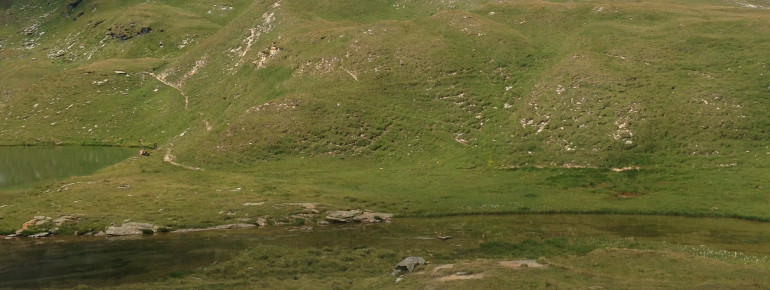 Der Wanderpfad führt teilweise oberhalb der Baumgrenze entlang.