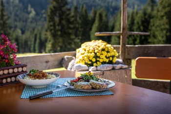 Kaspressknödel auf der Tillfussalm