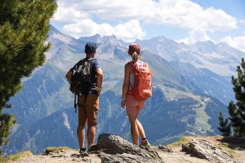 Der BergWaldWeg am Penken begeistert mit Panoramen ins Stilluptal und auf den gegenüberliegenden Ahorn.