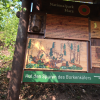 Schautafeln entlang des Weges informieren über den Borkenkäfer und das Ökosystem Wald
