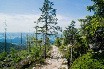 Genieße herrliche Ausblicke über den Bayerischen Wald.