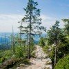 Genieße herrliche Ausblicke über den Bayerischen Wald.