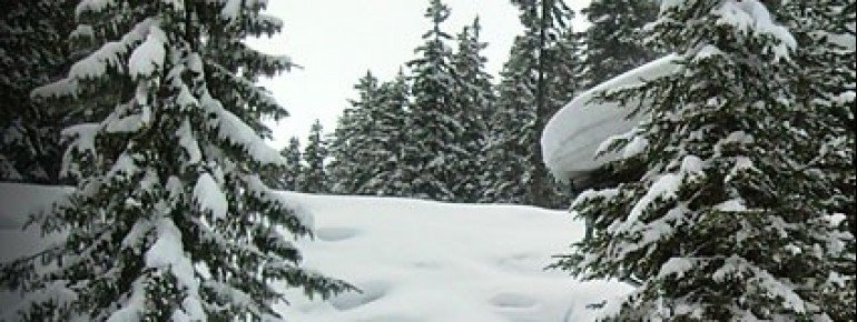 Startpunkt der Wanderung: Gasthaus Ferwall