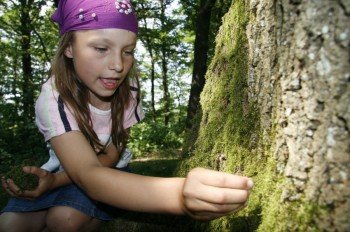 Kinder entdecken den Wald