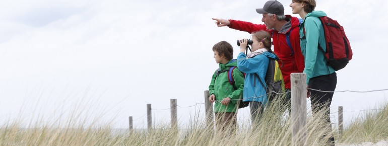 Am Familienwanderweg Graal-Müritz kannst du Strand- und Meeresbewohner der Ostsee beobachten.