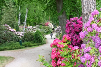 Die Familienwanderung Graal-Müritz startet im Rhododendronpark.