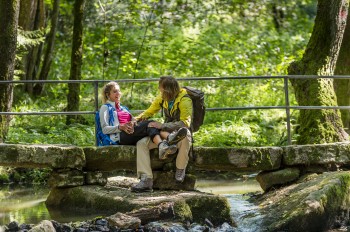 Grenzenloses Wandervergnügen ist seit Sommer 2018 dank der Goldsteigvariante in Böhmen möglich.