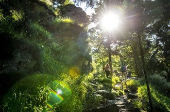 Der Goldsteig führt durch einen Nationalpark und durch fünf Naturparke.
