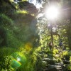 Der Goldsteig führt durch einen Nationalpark und durch fünf Naturparke.