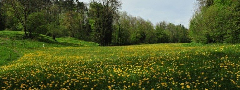 Auf dem Historischen Höhenweg