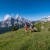 Wanderinnen bei der Rotmoosalm