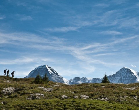Wandern in der Jungfrau Region
