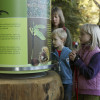 Hier erhalten Besucher Informationen über das Holz des Kastanienbaumes und über die Artenvielfalt der Früchte.