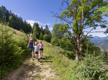 Wandern Familie Waldfamilienweg Wildschönau