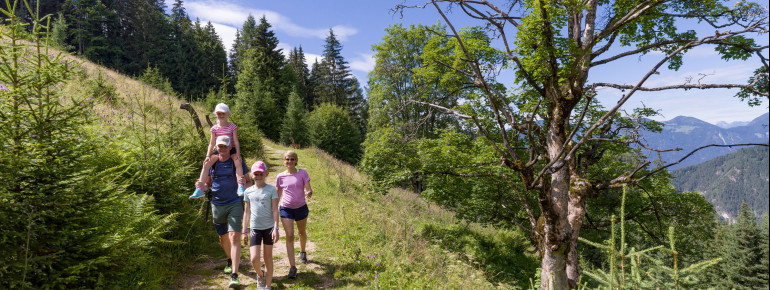 Wandern Familie Waldfamilienweg Wildschönau