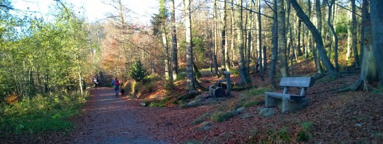 Abstieg über den Winterweg