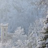 Der Turm des Schlosses Linderhof ragt aus der verschneiten Baumlandschaft hervor.