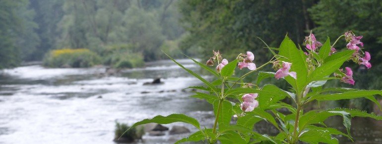 Diese Wanderung liefert tolle Eindrücke und tolle Bilder