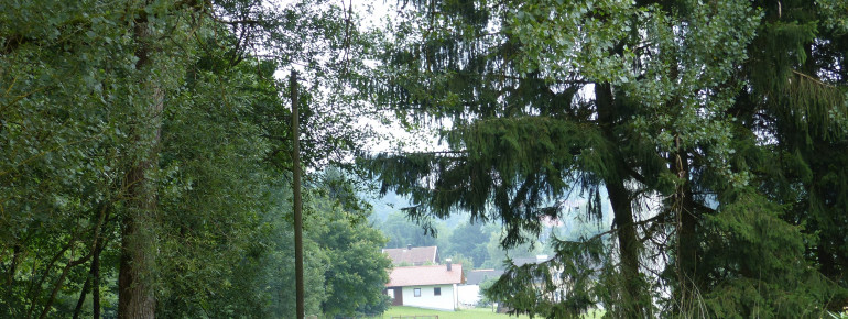 Hinter diesen Bäumen liegt eine große Lichtung, die direkt nach Kalteneck führt