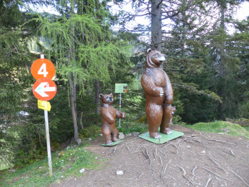 In der Nähe der Bärenbadalm wird natürlich auch mit Infotafeln interessante Details über diese Waldbewohner vermittelt.