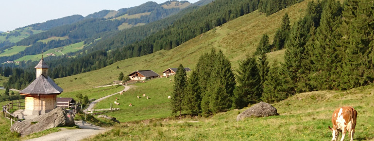 Schönangeralm Käserei Wildschönau