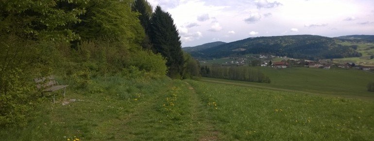An der Südseite des Sicklinger Bergs