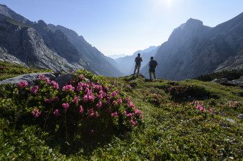 Auch einige alpine Abschnitte erwarten dich entlang des Spitzenwanderweges.