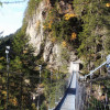 Die große Hängebrücke am Beginn des Alpin Steigs ist 50 m lang.